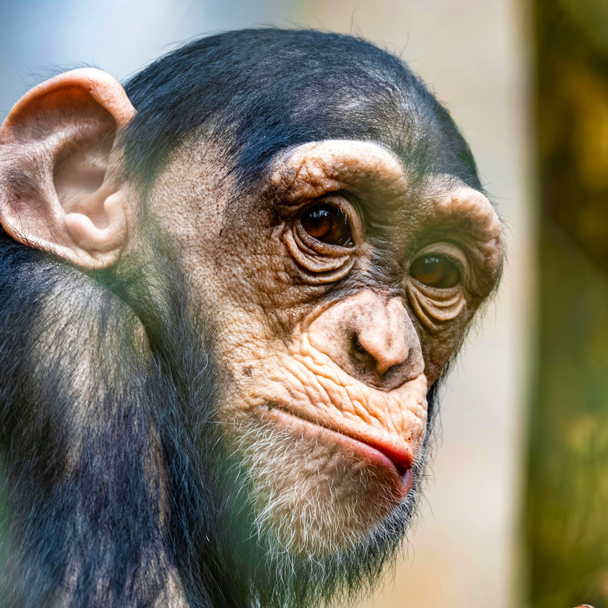 Post 3: My Face Isn’t for&nbsp;Everyone