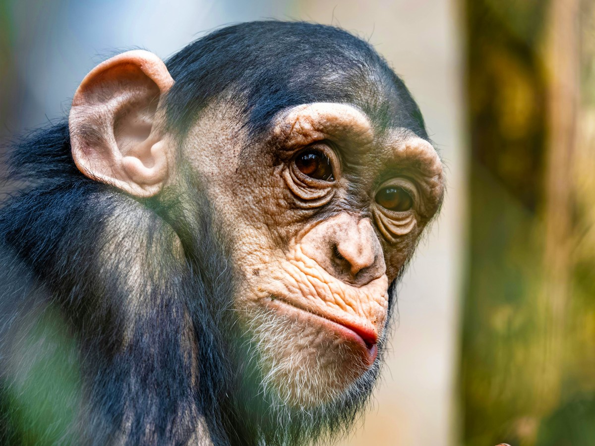 Post 3: My Face Isn’t for&nbsp;Everyone