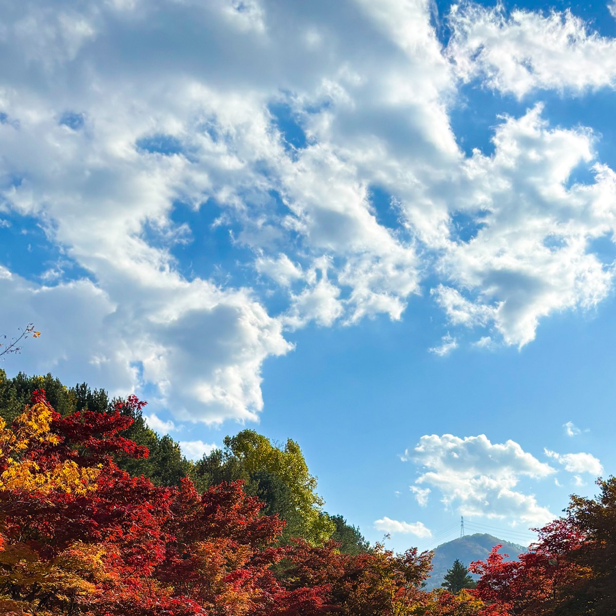 Post 27: Sometimes… (Part&nbsp;3)