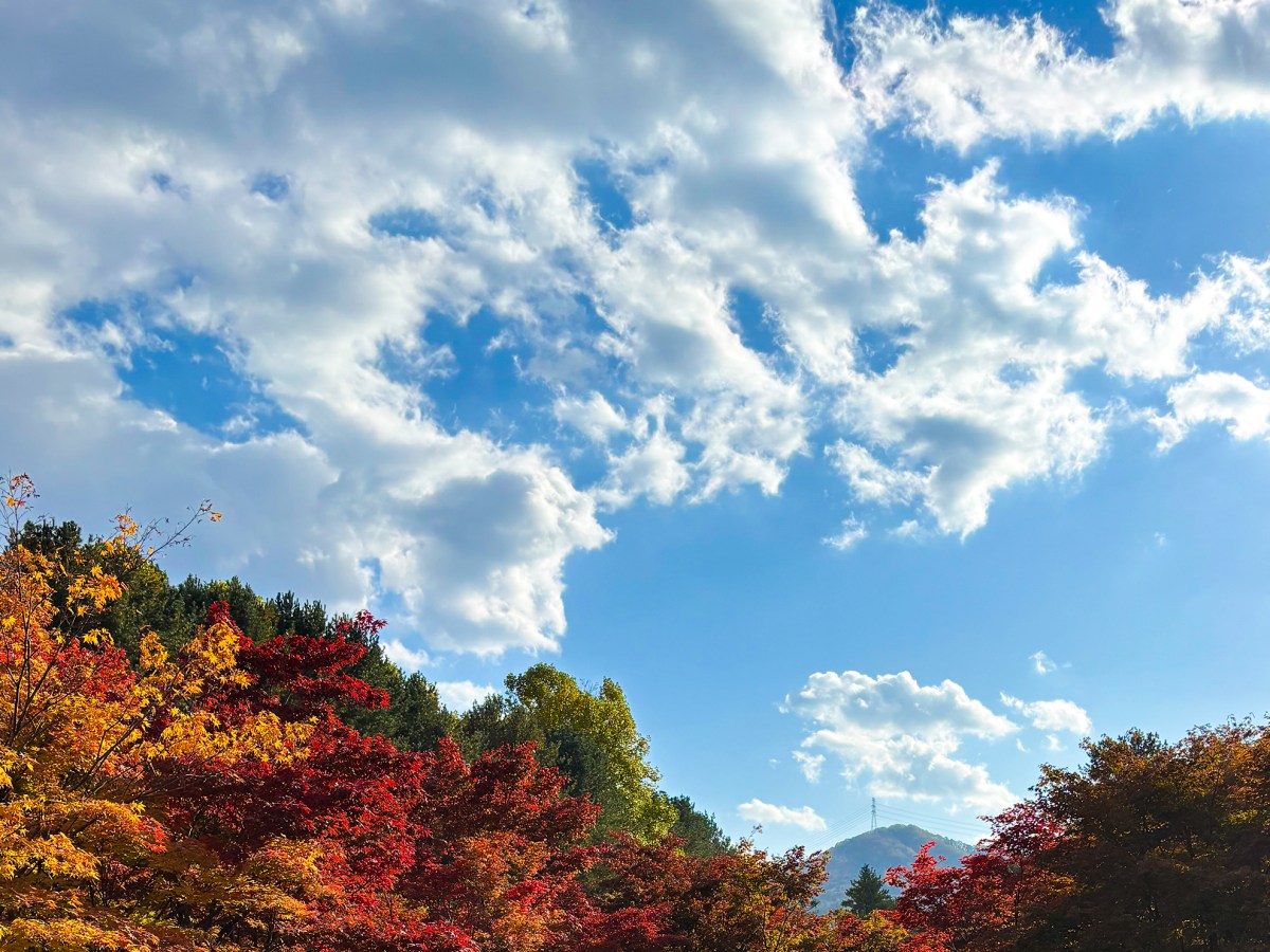 Post 27: Sometimes… (Part&nbsp;3)