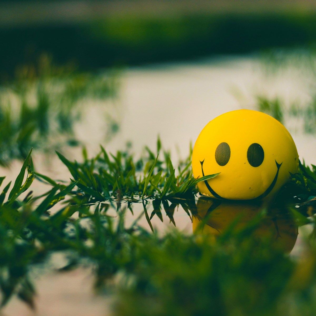 Post 63: Happy Thoughts (Part&nbsp;2)