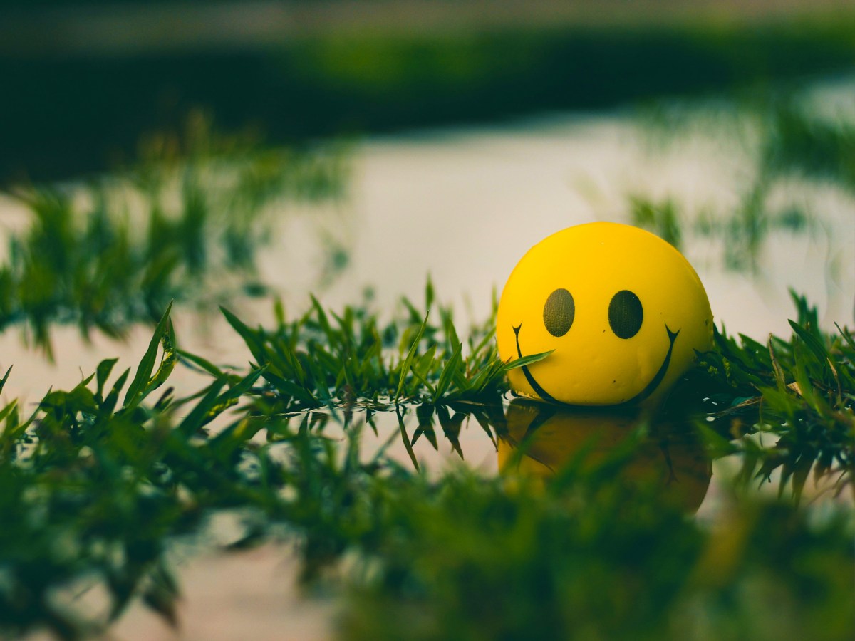 Post 63: Happy Thoughts (Part&nbsp;2)